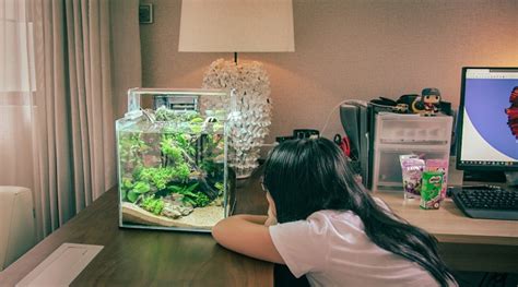 Online marketplace Fishyhub makes a splash in the aquarium .